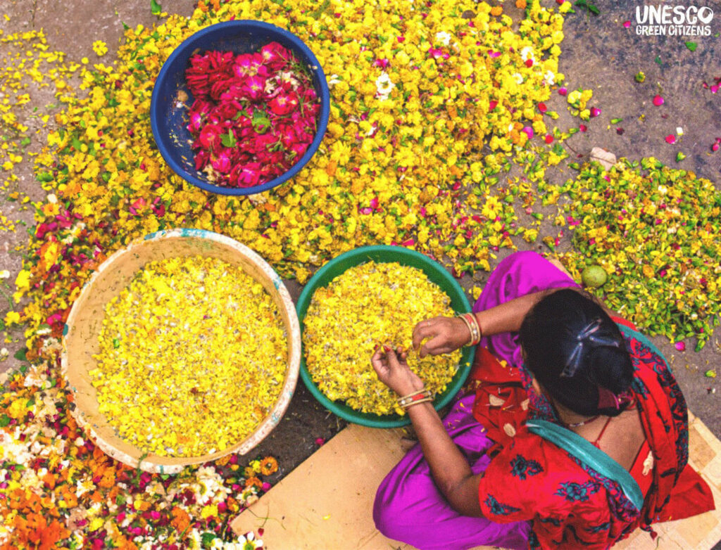 Woman sorting marigold and rose petals into bowls, UNESCO Green Citizens.